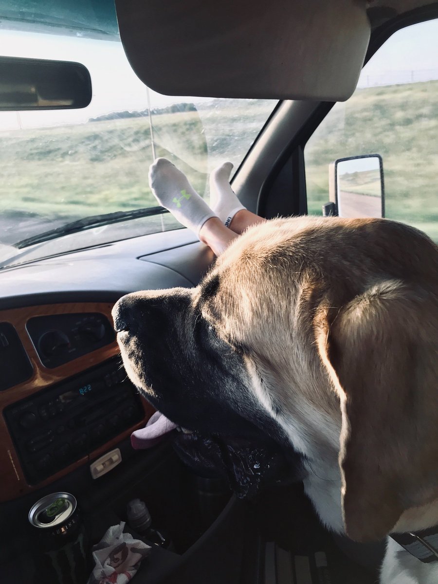 LauraBMusic7's tweet photo. Hopped into the RV tonight. Headed west.
“ When's the last time we dropped our things and went
Woke up somewhere that we've both never been
Growin' up doesn't mean gettin' older”
#drive #benrector #coupleswhodreamtogetherstaytogether 
@benrector https://t.co/dbRD2y8I2u