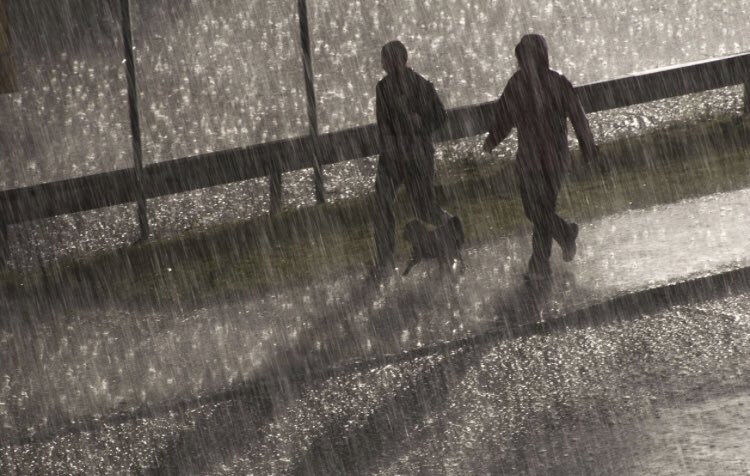 Torbjörn Averås Skorup tweet media