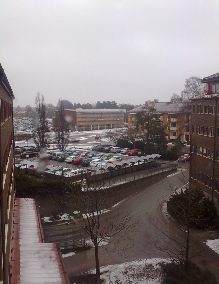 Torbjörn Averås Skorup tweet media