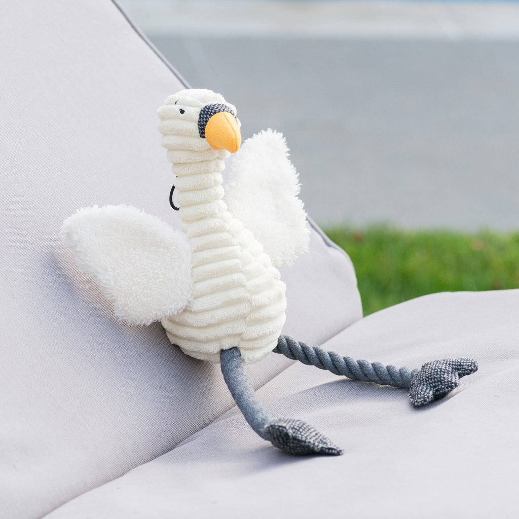 MuttsAndHounds's tweet photo. Sally Swan is made from lots of different textures including soft fluffy wings and rope legs. Her wings make a crinkly noise when scrunched and her tummy squeaks too!🖤
#dogtoy #plushtoy #sally #swan #lifestyle #dogaccessories #playtime #play #british #exclusive #designedinhouse https://t.co/81NZt4Sdf2