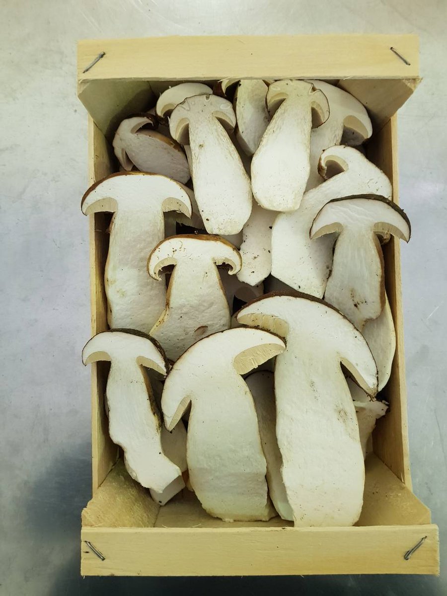 FineFoodLine's tweet photo. Fine Food Line is the direct exporter and distributor of delicious #wildmushrooms!
#BlackTrumpet #Porcini #Morels #Chanterelle
info@finefoodline.com
https://t.co/GpheK66GfA 
#organic #wildmushrooms #healthyfood https://t.co/3eFQVdB4ie