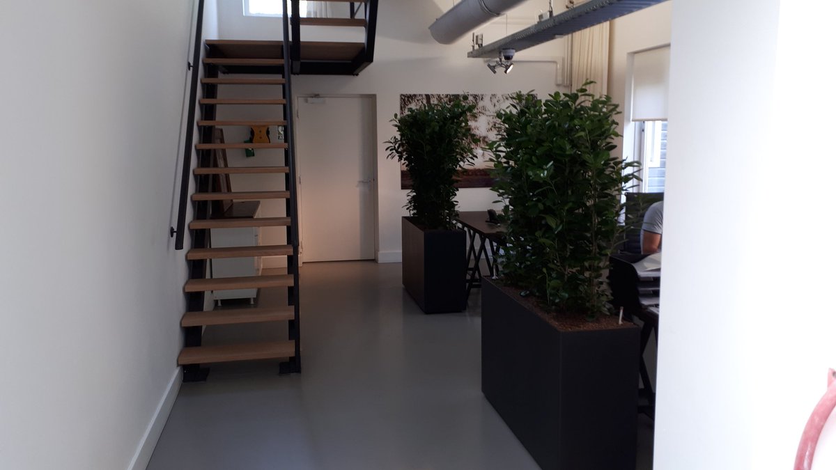 Amsterdam is sinds gisteren weer een beetje groener geworden. #interieurbeplanting kantoorplantenservice.nl