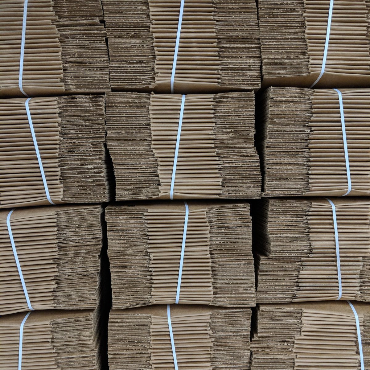 You ordered and now we're ready to deliver! The first round of bulb packages will be in the mail early next week 📪  #westernauto #kcmo #christmasinjuly #kccrossroads #downtownkc #lightthesign #landmarklove #kcskyline #visitkc