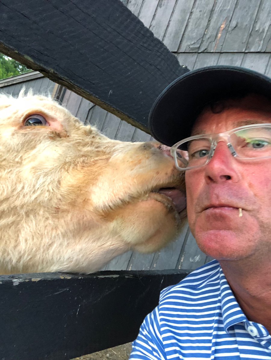 My first cow kiss!! “Cindy” #HappyThursday