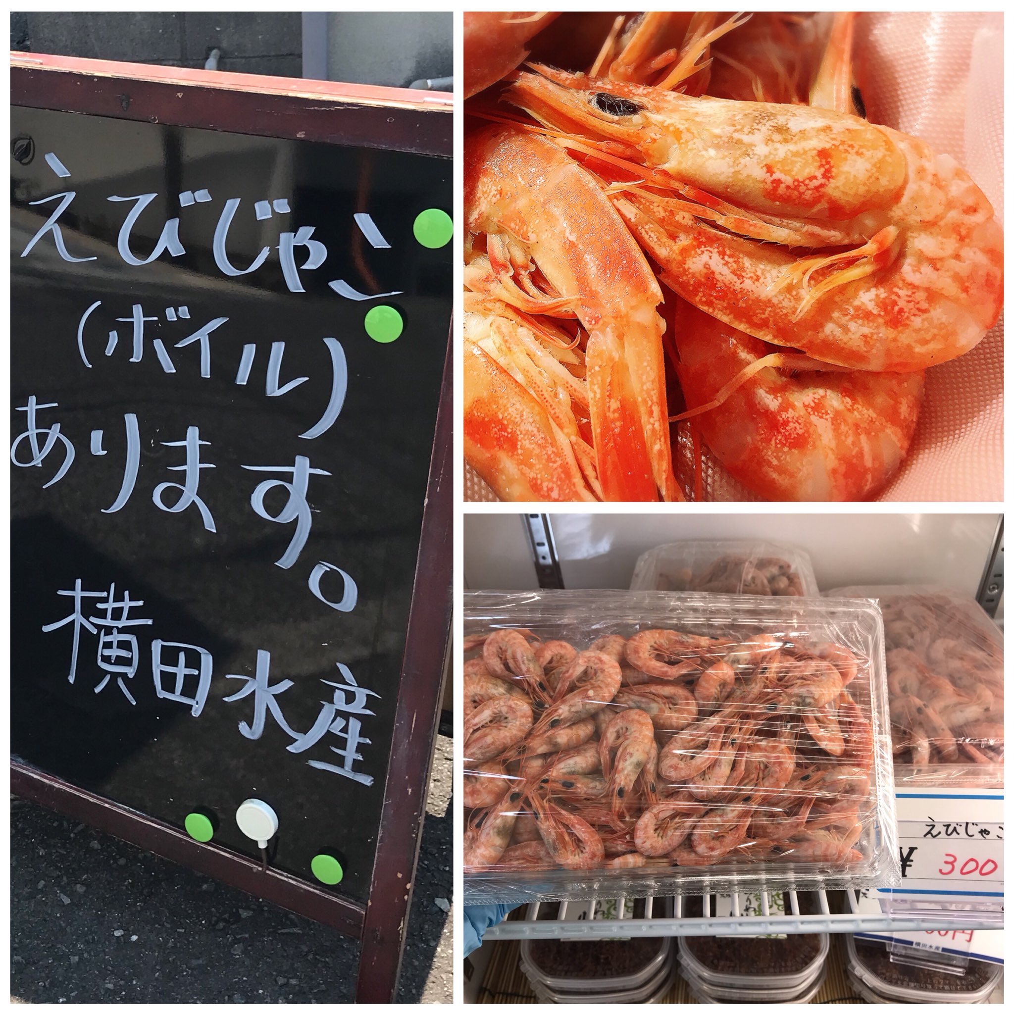 じゃこえび Twitter Search Twitter