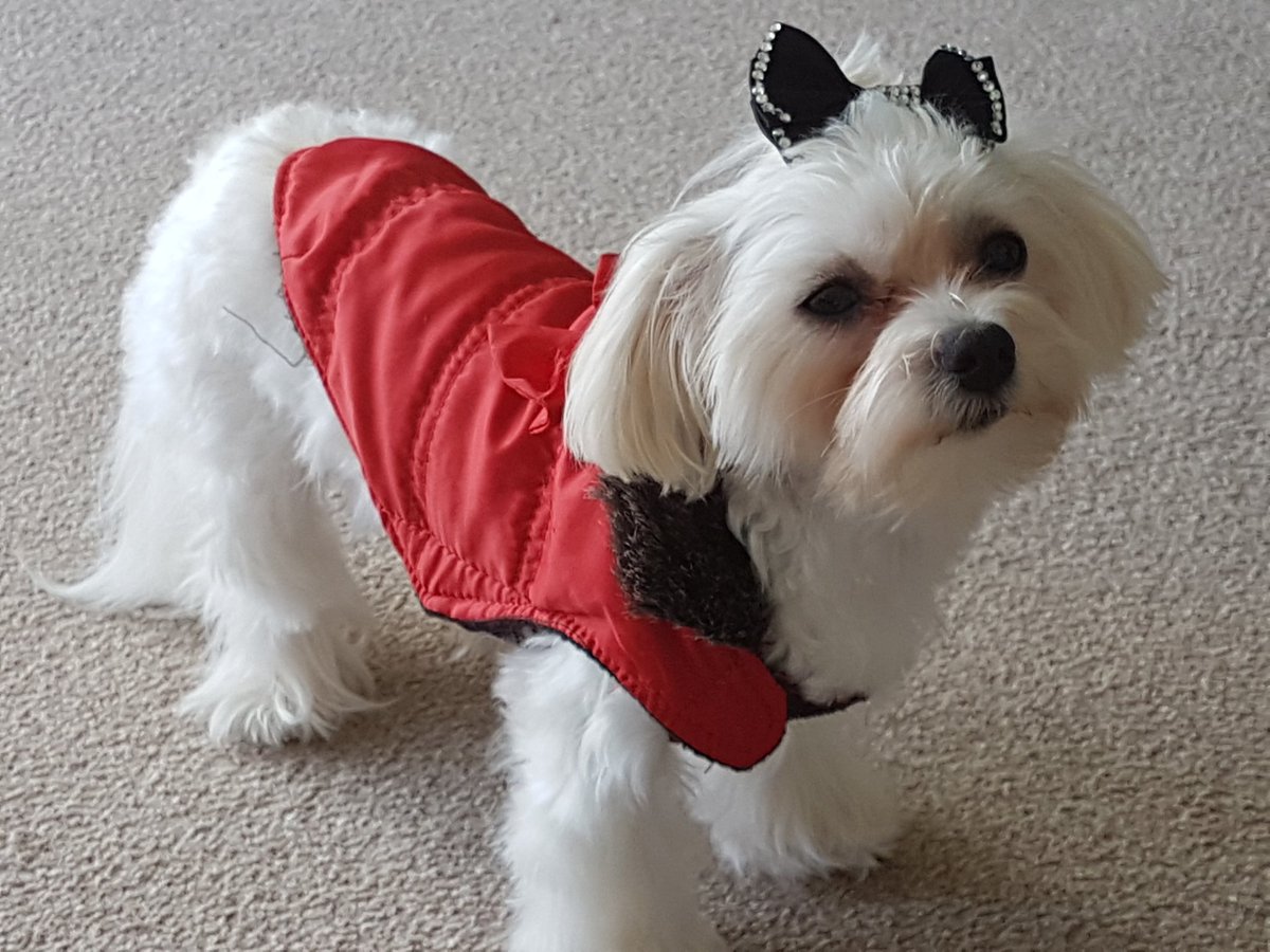 CMarieMagic's tweet image. My little show girl . Princess my magic girl .x