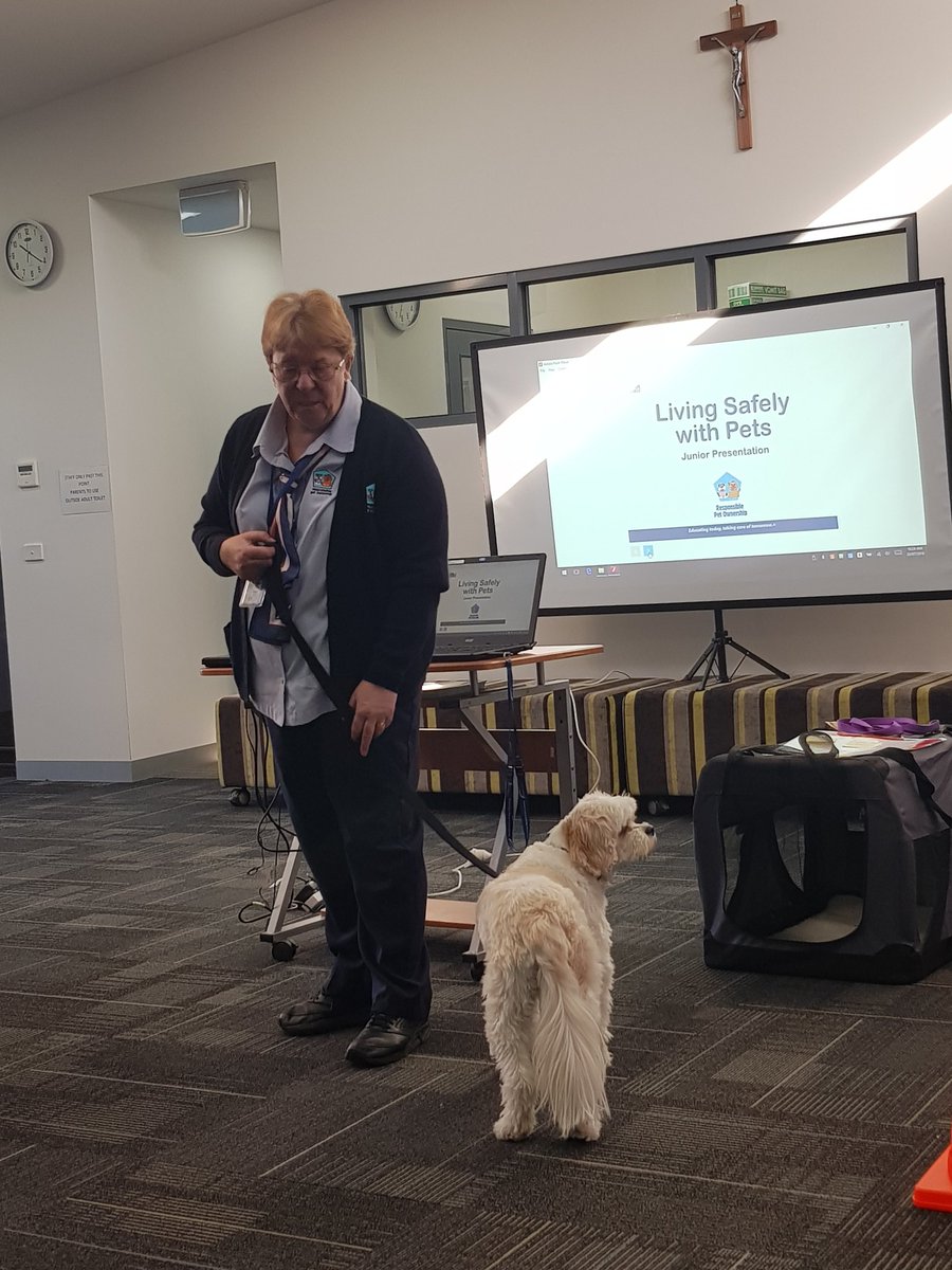 MrsKristyMussel's tweet photo. Today we had a visit from pet responsibility and some children got to pat the very cute Molly. We also learnt how to approach a dog @stpeterssws @MsGraceFrazzica https://t.co/kQiWJ5yUnr