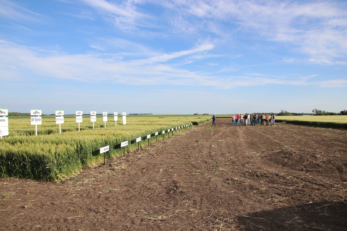SteinSeed's tweet photo. There were super speakers at our wheat plot tour. Food was great and a couple of future farmers enjoyed themselves! https://t.co/d57xJqUrPU