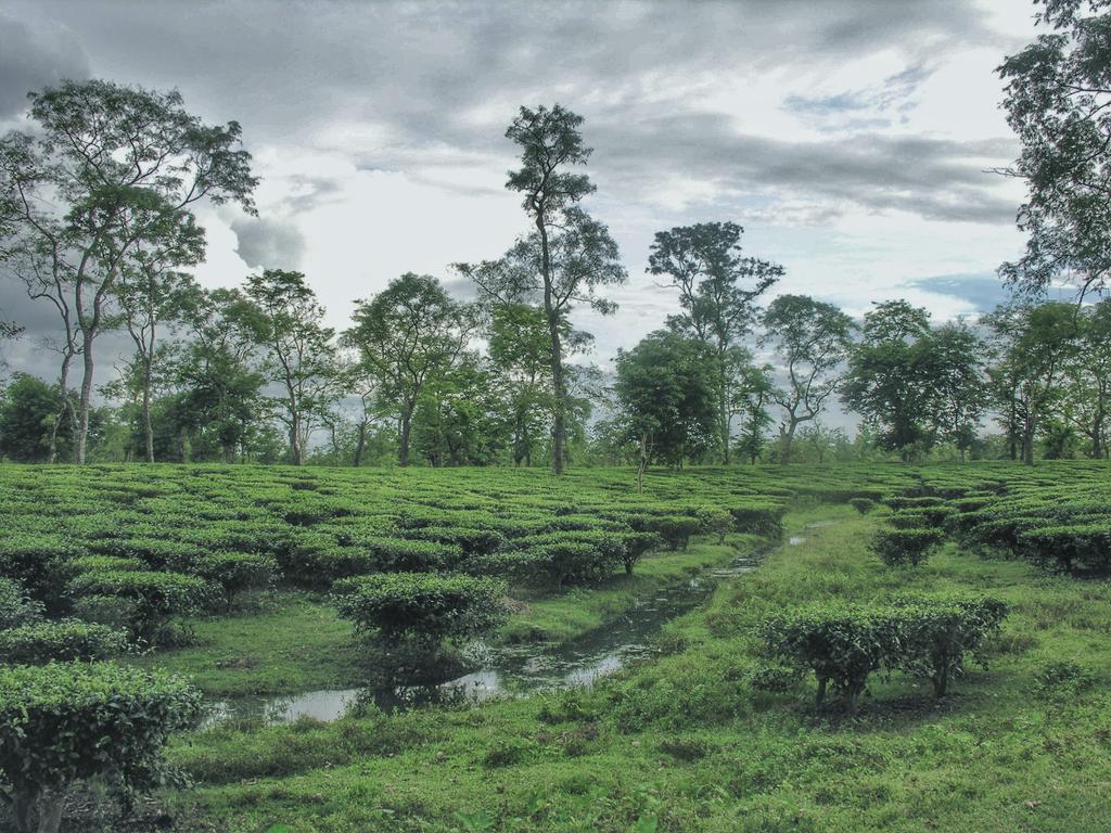 air force station dinjan