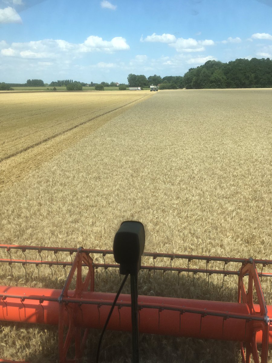 Siflon1's tweet photo. #moisson18 terminé, merci @CoopBeton et transport, bonne organisation, reste à bien vendre...! https://t.co/MMu25fbhyT