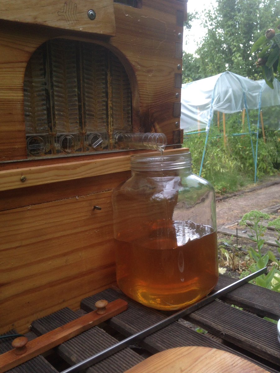 F1HTH's tweet image. Première récolte de miel mode relax ....