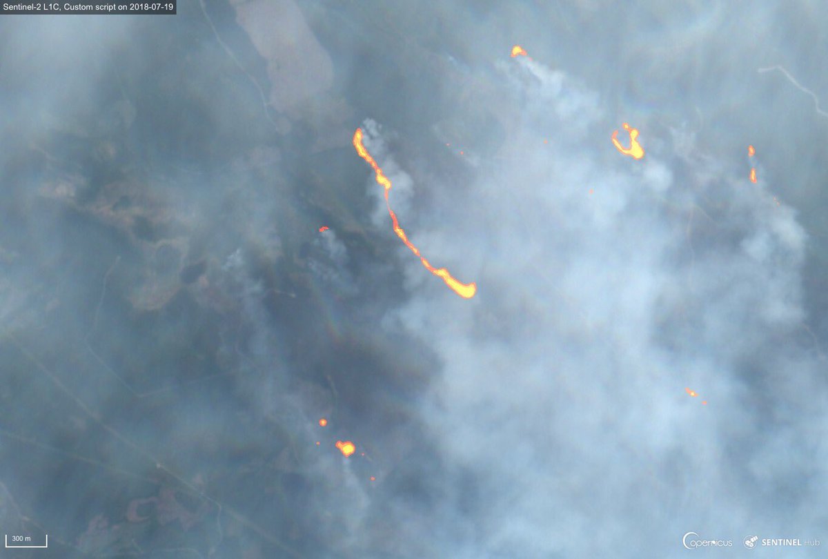 CopernicusEU's tweet photo. The wildfires that are ravaging several areas of #Sweden are unfortunately very visible from Space... Here are three views of the area around Enskogen and Kårgöle captured yesterday by our #Sentinel2🇪🇺🛰 
#skogsbrand 
#DIY https://t.co/KFzRYjCcWV https://t.co/dVJboWT5Nl