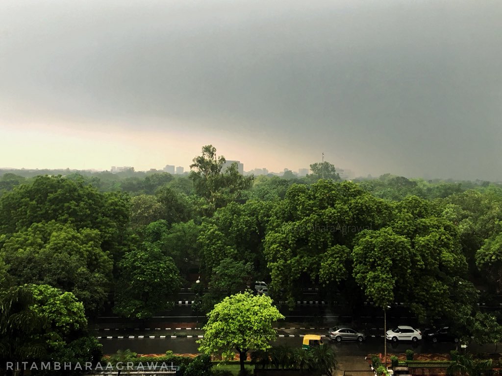 RitambharaA's tweet photo. No wonder people fall in love with this city...and this is what they want/wanted to ruin! #SaveDelhiSaveTrees https://t.co/QNIJuthDgP