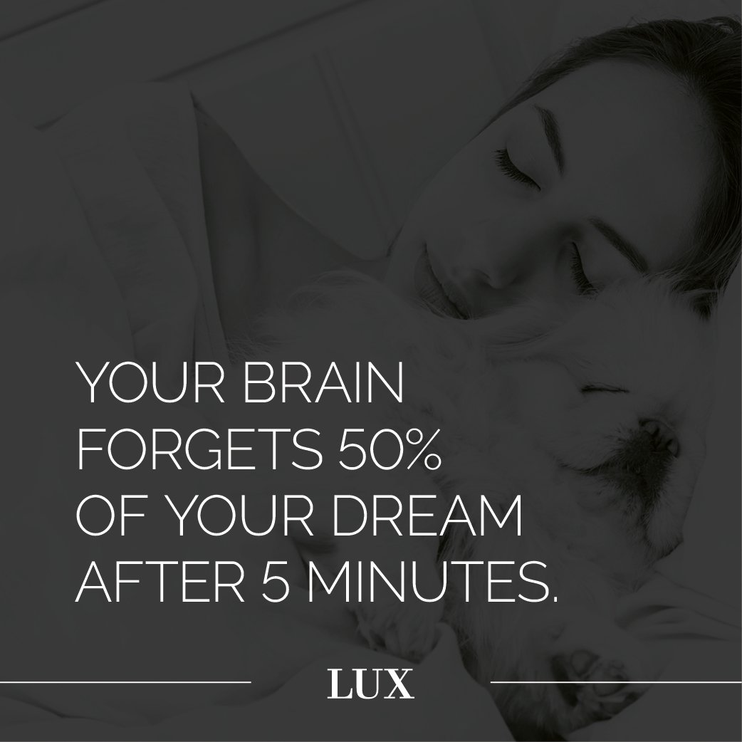 LUXNotebooks's tweet image. Write down your dreams as soon as you wake up.
.
.
.
.
.
#FridayFacts #FridayFun #creative #art #notebook #letsgetcreative #notepad #sketchbook #ukmanufacturing #ukcreatives #ukartists #ukbusiness #kent #luxuryliving #ukbloggers #ukart #notebooks #notepads