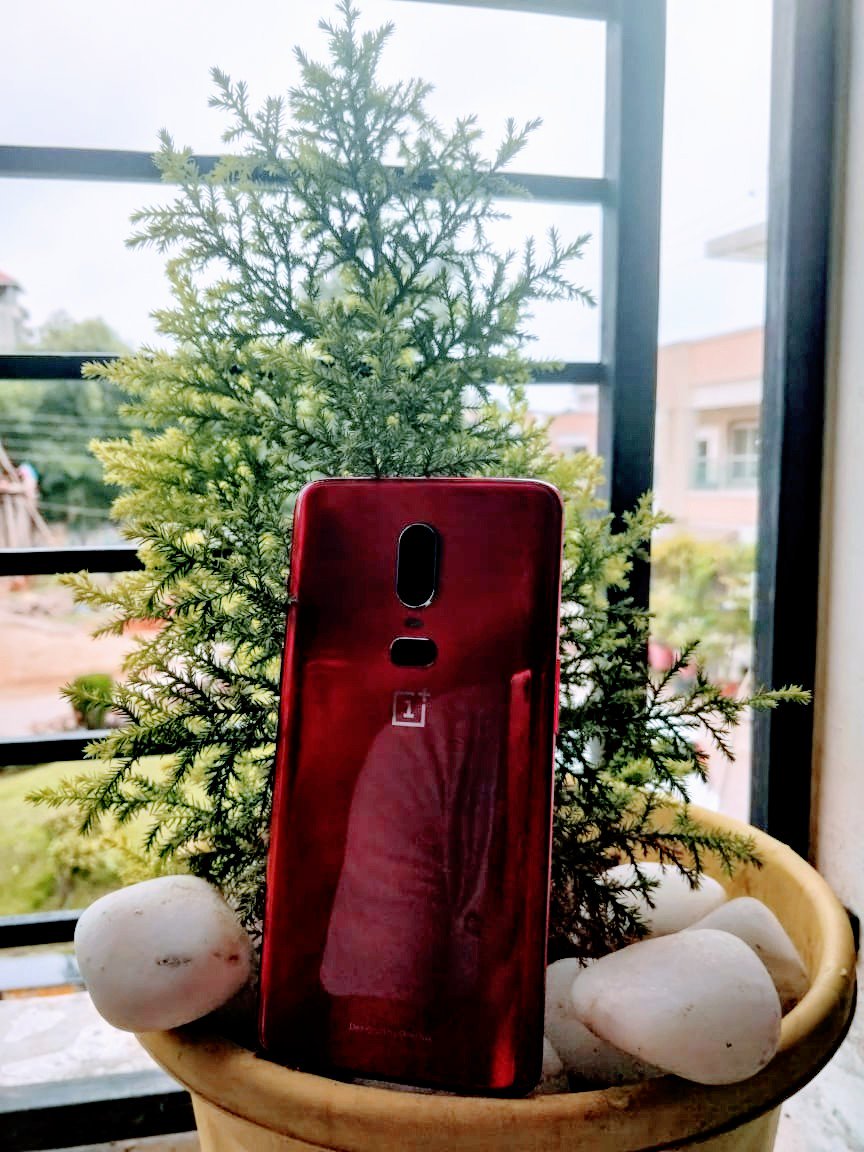 amandeep14's tweet photo. When #Green #Nature combines with #Redbeauty #machine it's perfect for me.
#oneplus6red #OnePlus6 #shotononeplus6 #ShotonOnePlus #maroonlover  @OnePlus_IN @oneplus   
@getpeid @petelau2007 @Vikas_AGL https://t.co/vDqVSLW0Tt