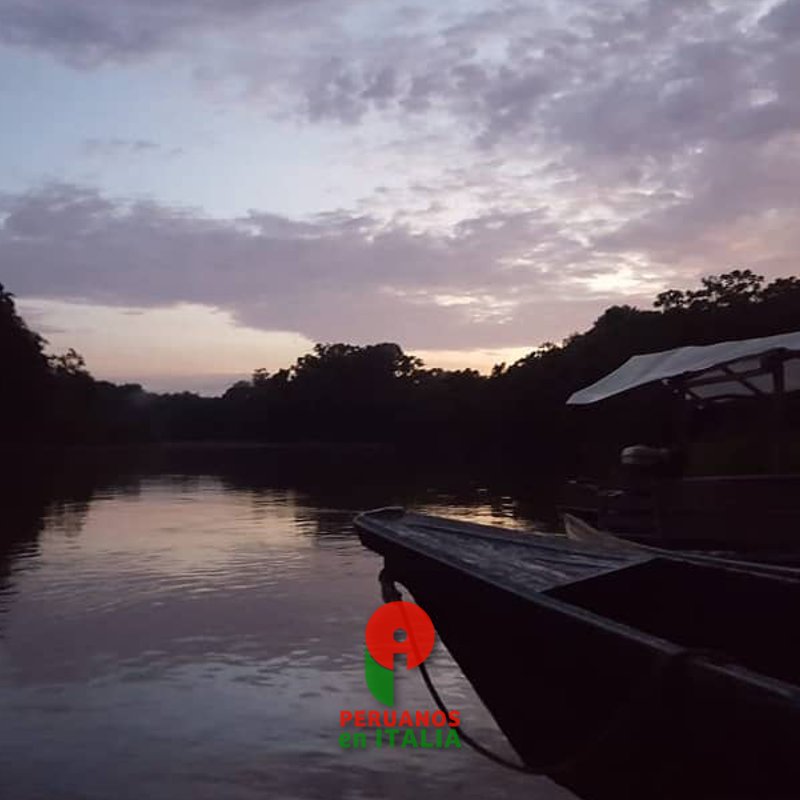 Peruanos en Italia tweet media