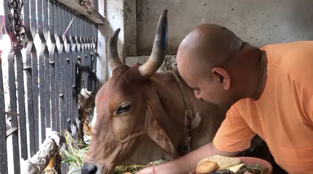 gaurgopald's tweet image. Respect for life, empathy for others feelings and compassion for all act as catalysts for spiritual progress ~ Gaur Gopal Das 
#compassion #respect #empathy