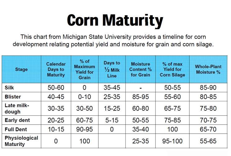Now that corn is entering the reproductive stages,  a handy reminder chart showing roughly how long each stages takes. #CornDevelopment #Agronomy #MarkYourCalendars #SilageTiming
