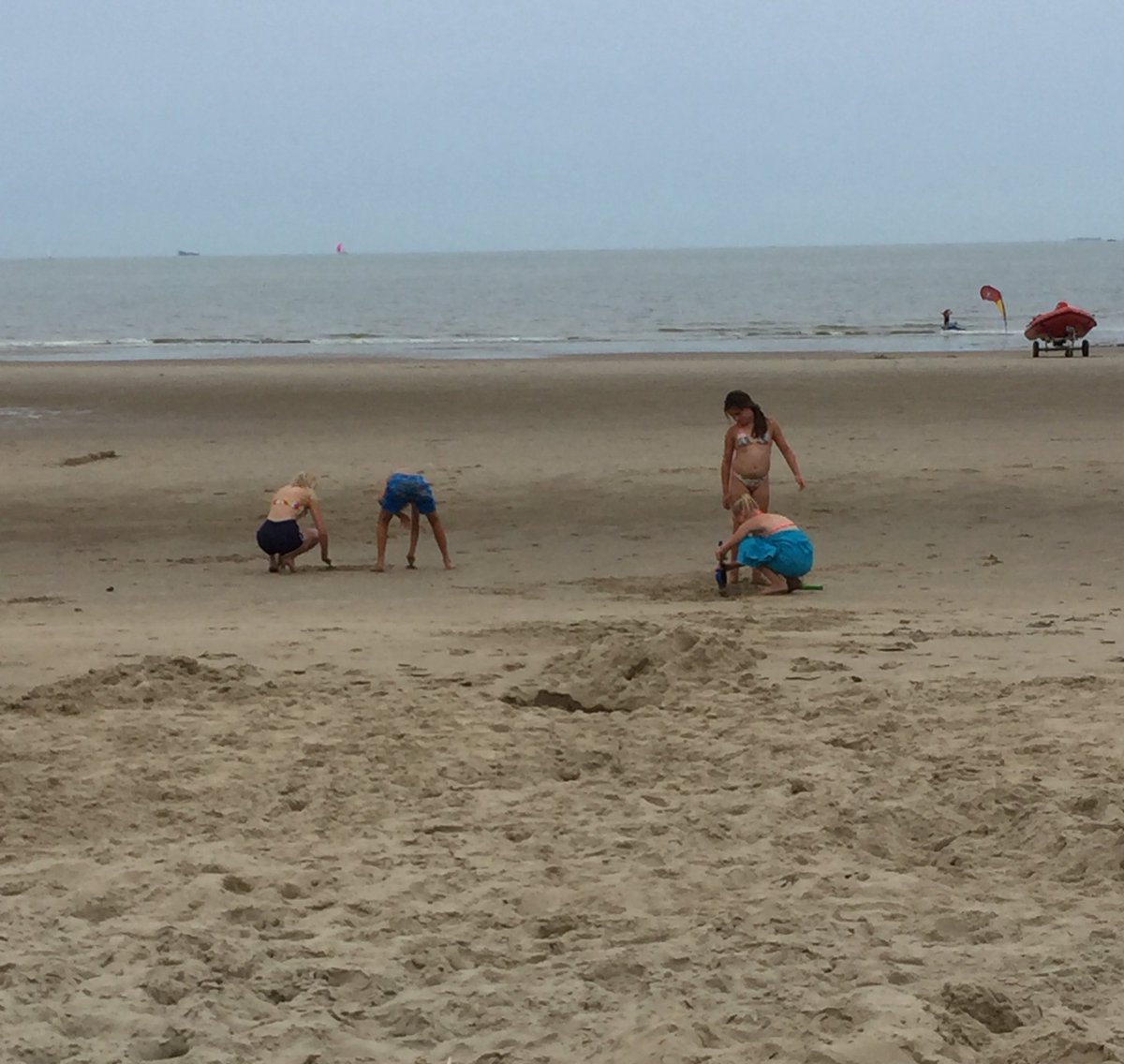 chgoovy's tweet photo. Genieten aan onze kust ❤️ https://t.co/c6znvvR1fS