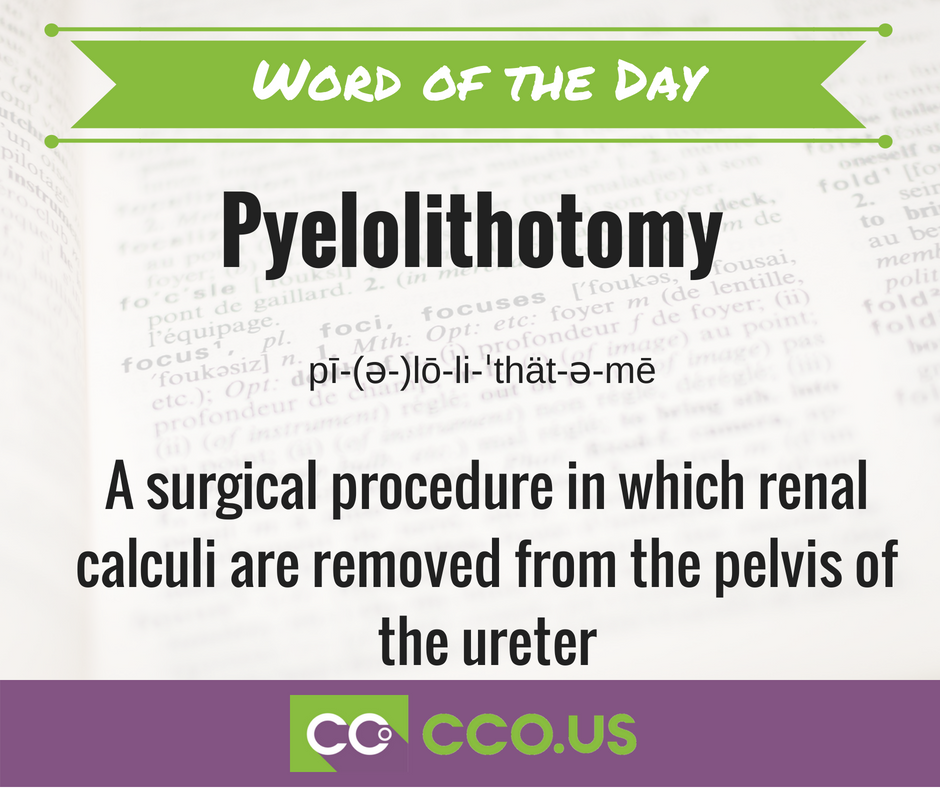 CertCoachingOrg's tweet photo. CCO Word of the Day!
Pyelolithotomy-
A surgical procedure in which renal calculi are removed from the pelvis of the ureter
#CCO #Pyelolithotomy #medicalcoding #wordoftheday https://t.co/pV5H93dhWA