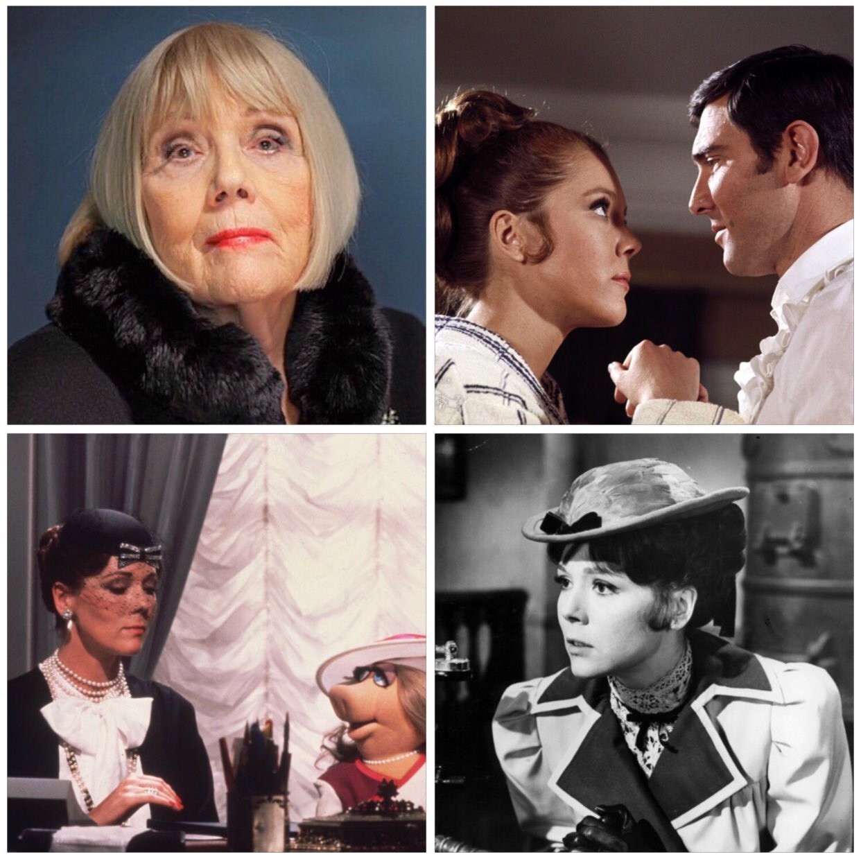 Happy 80th birthday to Dame Diana Rigg! 