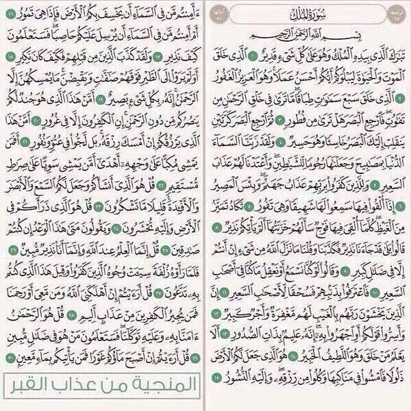 نـواف tweet media