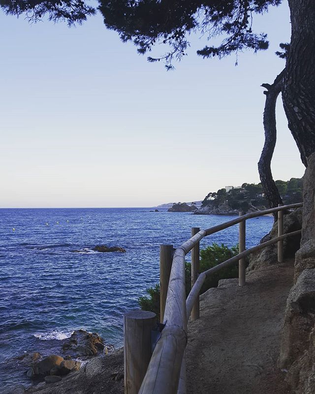 #abendspaziergang #camping #campingtreumal #campingdeluxe #urlaub #holiday in #spanien #meer #ocean #blauerhimmel #abendstimmung 📷: @wegjennifer

Camí de Ronda! Camino de Ronda!! Nice picture!!! Thank you!!