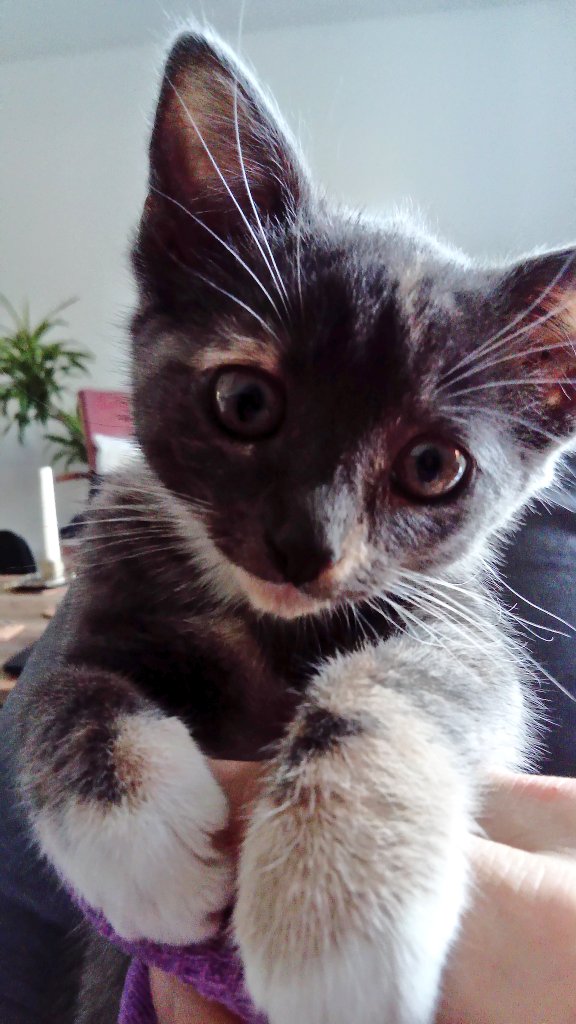 Take me back to when this one was like this please