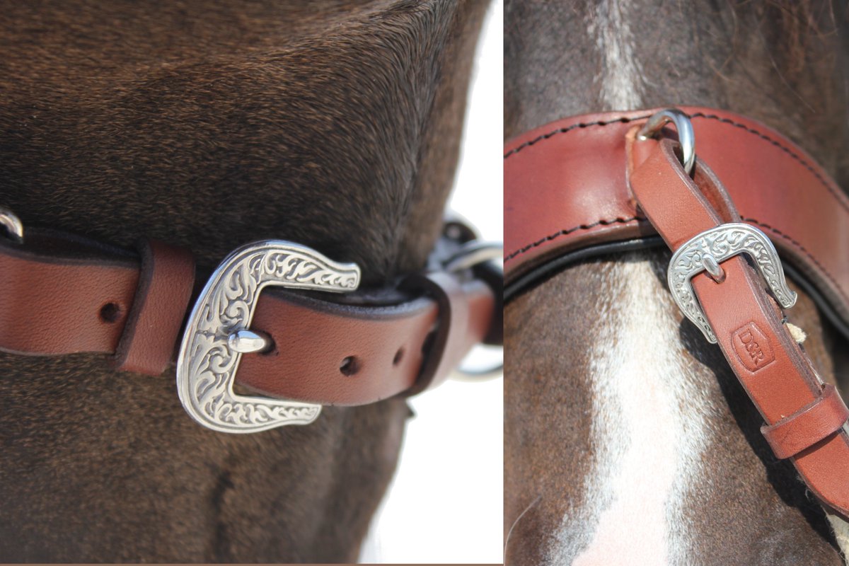 Neue Kollektion - Namensgeber werden und gewinnen! - mailchi.mp/cfda91d7f38d/n…