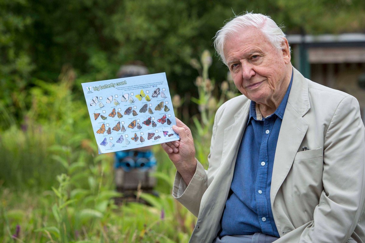Butterflies are incredibly important pollinators. Join David Attenborough in the Big #ButterflyCount today!