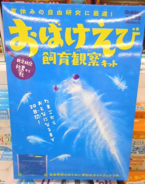 東急ハンズ広島店 En Twitter たまごからおとなになるまで日間 ふしぎな生物 観察してみませんか アメリカの塩湖にすむ アルテミア サリーナ です おばけえび飼育観察キット 1500円 税 東急ハンズ 広島店5ｆ シーモンキー T Co Lozf6k2d23