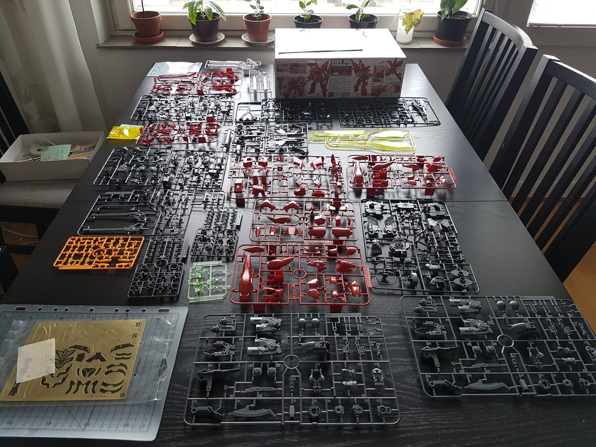 Sebastian tweet media