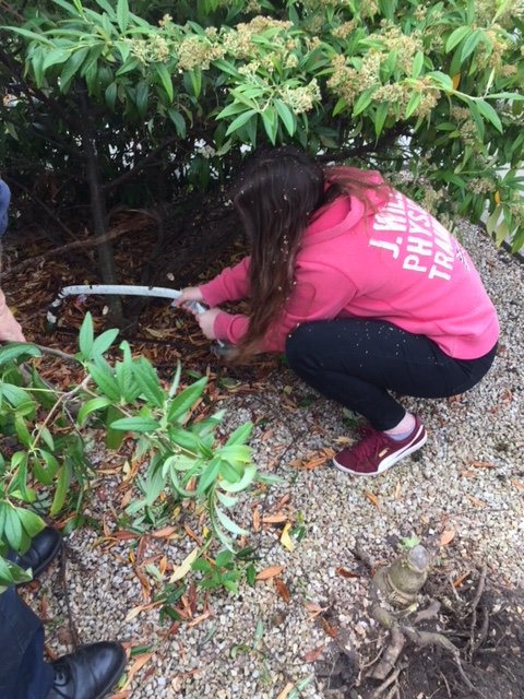 KateHannahMC1's tweet photo. Week 3 with Site Assistants 

We did a wide range of tasks from clearing an office 📚to digging up the bushes at the nursery 🌳

#SpringCleaning #Week3 
@MorayCollege @CareerReadyUK https://t.co/1JcBreCWrz