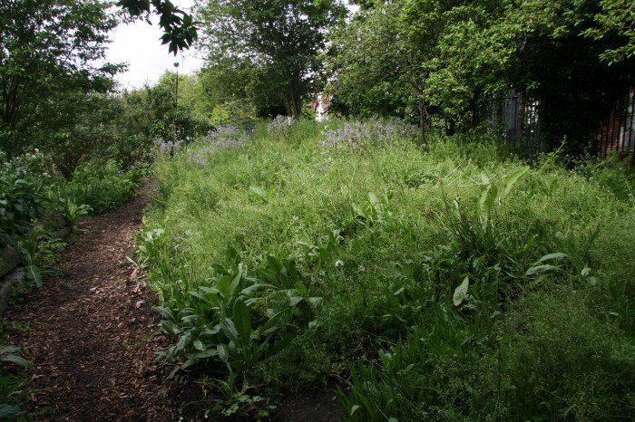 PhytologyLondon's tweet photo. Did you know that there is more life in a teaspoon of soil than there are human beings on the planet?!  Don't miss our UPCOMING Soil Ecologies Workshop Parts 1+2 w/ Olly Edmonds &amp; Katherine Mcmahon | AUG 4th |11 - 4|Book here: https://t.co/4kkKD3m91I #compostmentis #soilecologies https://t.co/aTQVjEG1uB