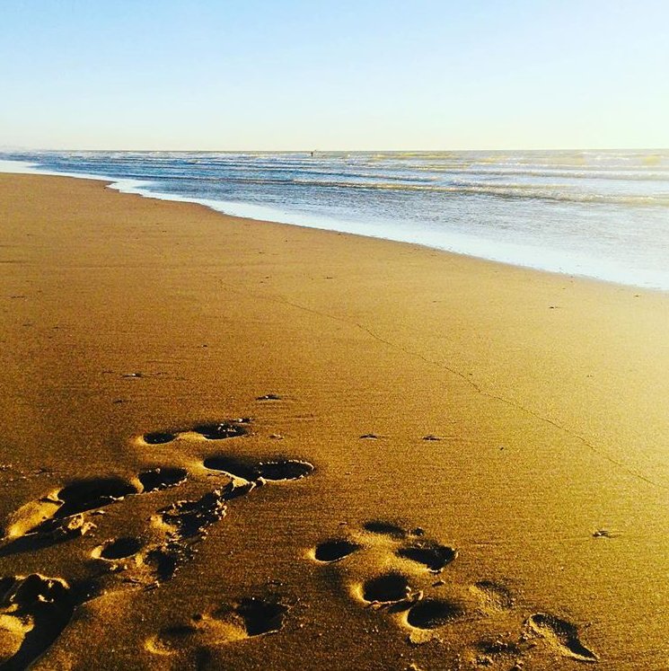 Een wandeling aan zee gepland dit weekend? Vraag onze gratis wandelroutes en ontdek Oostende. Foto door @nath_dumez #thermaepalace