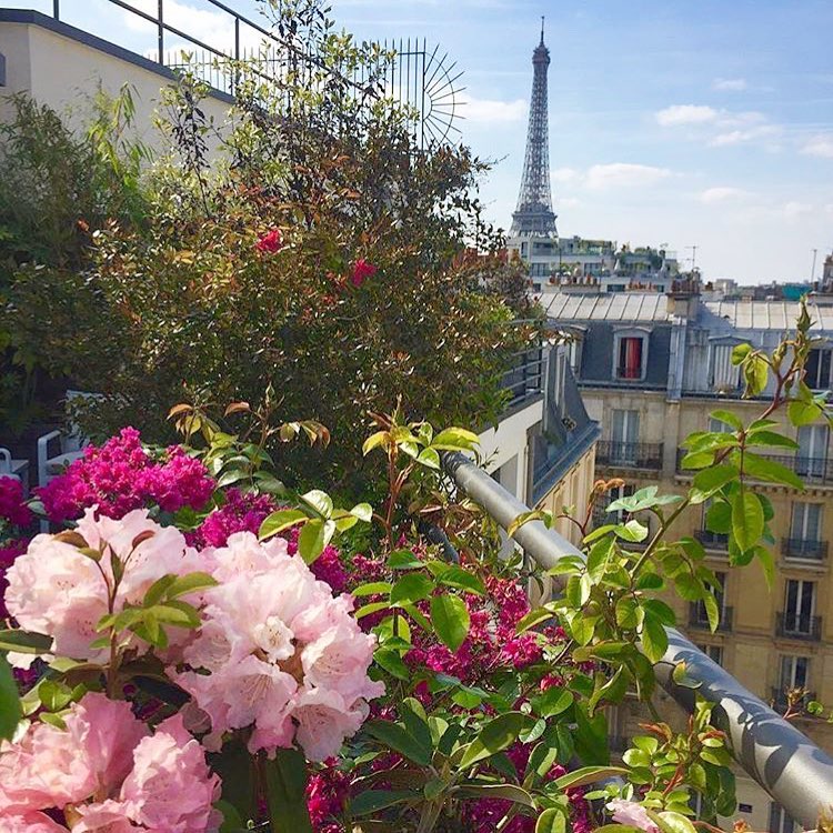 le5codet's tweet image. A view like no other

Une vue comme nulle part ailleurs

📷 @shapirotravelco

#vuetoureiffel #eiffeltowerview #suite401  #vue #view #fromwhereistand #parisview #lecinqcodet #paris7 #paris7eme #paris