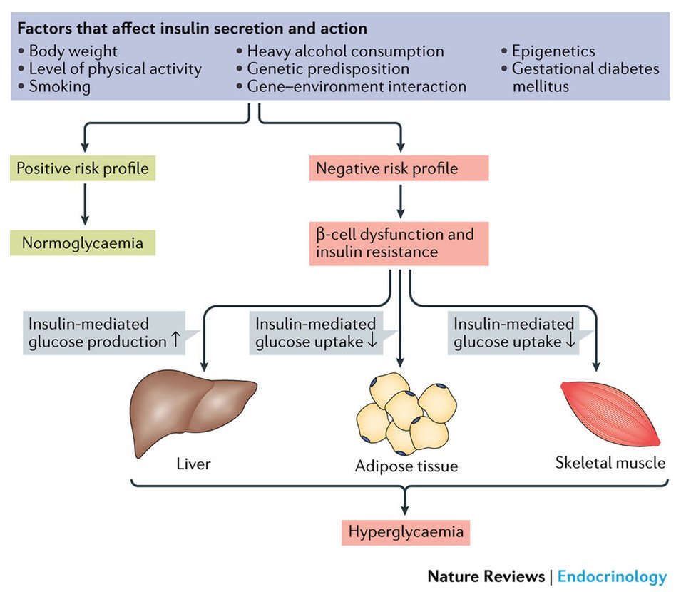 Nature Reviews Endocrinology en Twitter: "#MustRead: Global aetiology and epidemiology type 2 #diabetes mellitus and its complications, part of the Change the World, One Article at a Time campaign https://t.co/rEVJEhlqo4