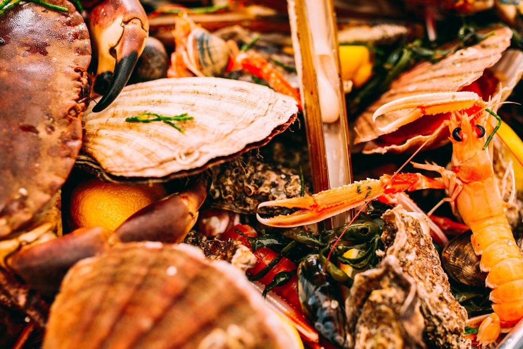 KiltedLobster's tweet photo. Come along to our FISH IN THE SEA INTERACTIVE LUNCH. Talks, demos, film viewings, shuck scallops, prep seafood & eat lunch with filmmaker @zevrobinson and Chef Colin Hinds. Sunday 29 July 1pm. Tickets £35pp. Phone 0131 2206677 to book. Pls RT #interactivelunch https://t.co/WZr8HYwEsW