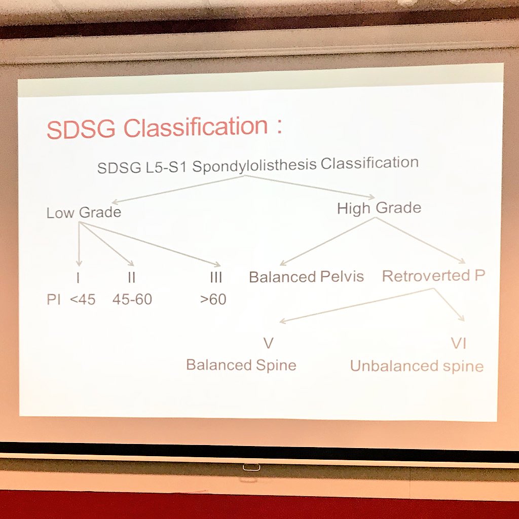 Sdsg Classification - The Job Letter