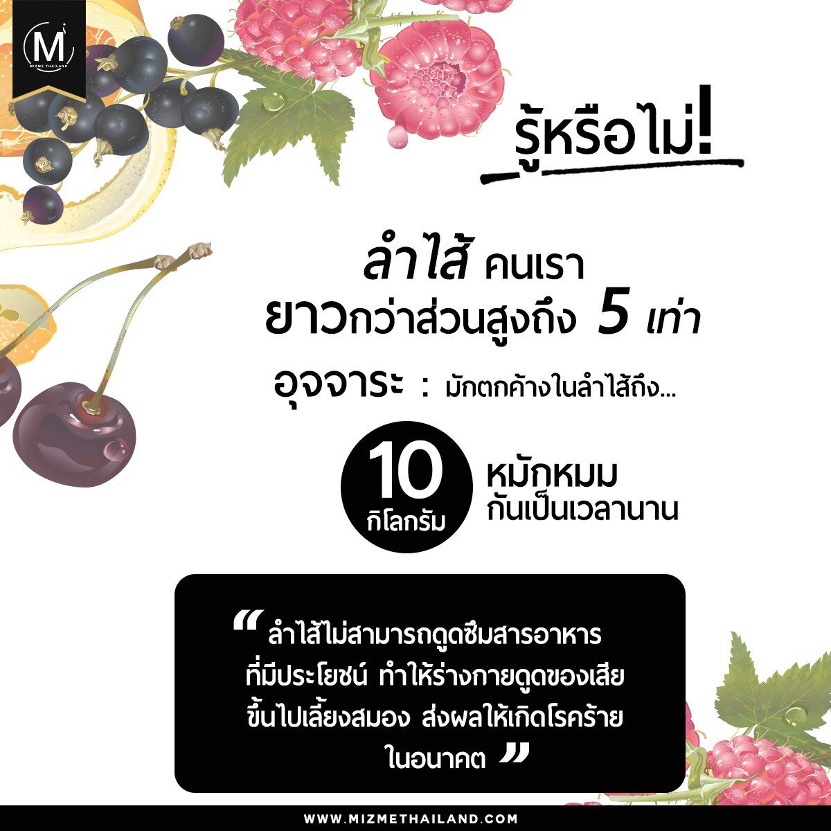 niramon2707's tweet photo. ถ่ายไม่ออก บอกใครไม่ได้ 

มาจร้า มาบอกแม่ค้าคนนี้ มิติใหม่แห่งการครี่ คร่อง เพียง. 149 บาท เท่านั้น ไม่ต้องสะสมครี่เป็น10 กิโลในลำใส้ 💩💩💩💩
#howtoperfect
คลิก
https://t.co/jcesXFIM62 https://t.co/iTwBL7kd5e