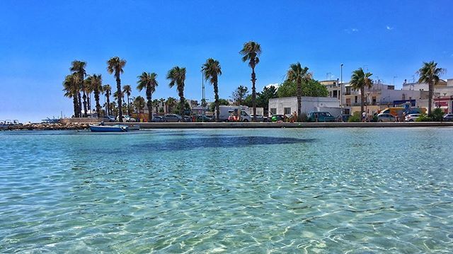 #portocesareo #sea #mare #amepiaceilsud #shotoniphone #iphone 
#loves_puglia 
#super_puglia_channel 
#verso_sud
#ig_worldclub
#italia
#europa 
#instagram
#ig_puglia 
#BestVacations 
#loves_united_puglia 
#cartolinesalentine 
#Exklusive_Shot
#salento 
#Be… ift.tt/2uQjTPl