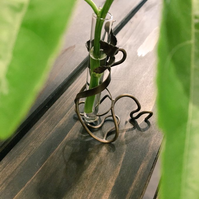 試験管のtwitterイラスト検索結果 古い順 試験管のtwitterイラスト検索結果 古い順