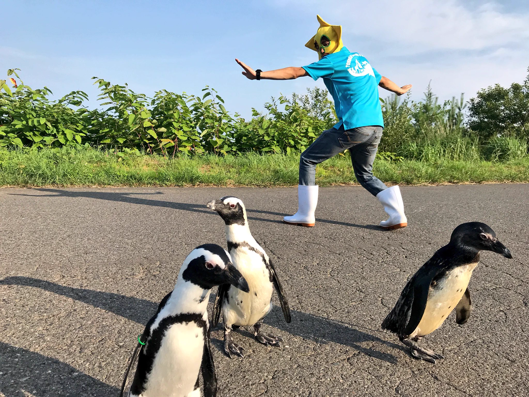 東北サファリパークがペンギンとジュラシックワールドを再現！無視されてるｗｗ
