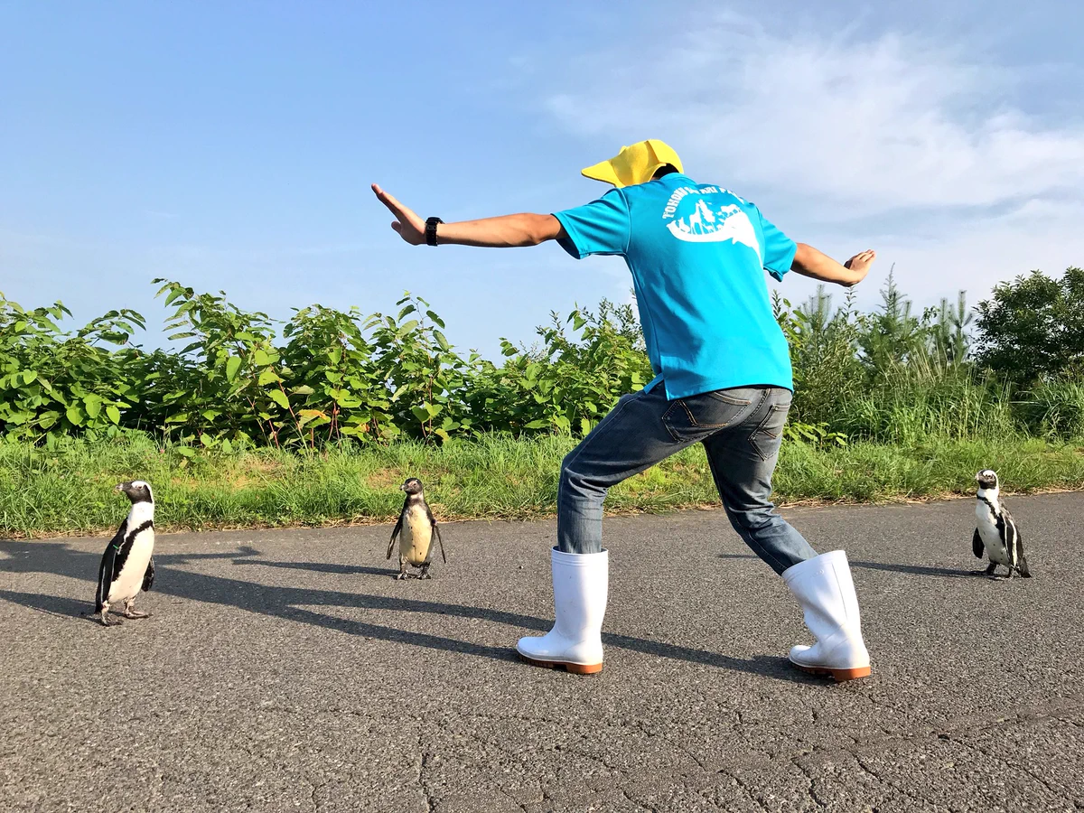 東北サファリパークがペンギンとジュラシックワールドを再現！無視されてるｗｗ