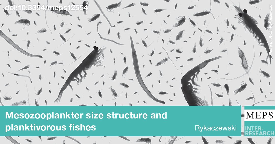 MEPS_IR's tweet photo. Cross-shore gradients in nutrient availability influence the sizes of individual phytoplankters and zooplankters in the #CaliforniaCurrent, distinguishing the habitat available for feeding by planktivorous, pelagic #fishes. #SPF_ThemeSection https://t.co/McozbedEJz https://t.co/7u3CRFRdYz
