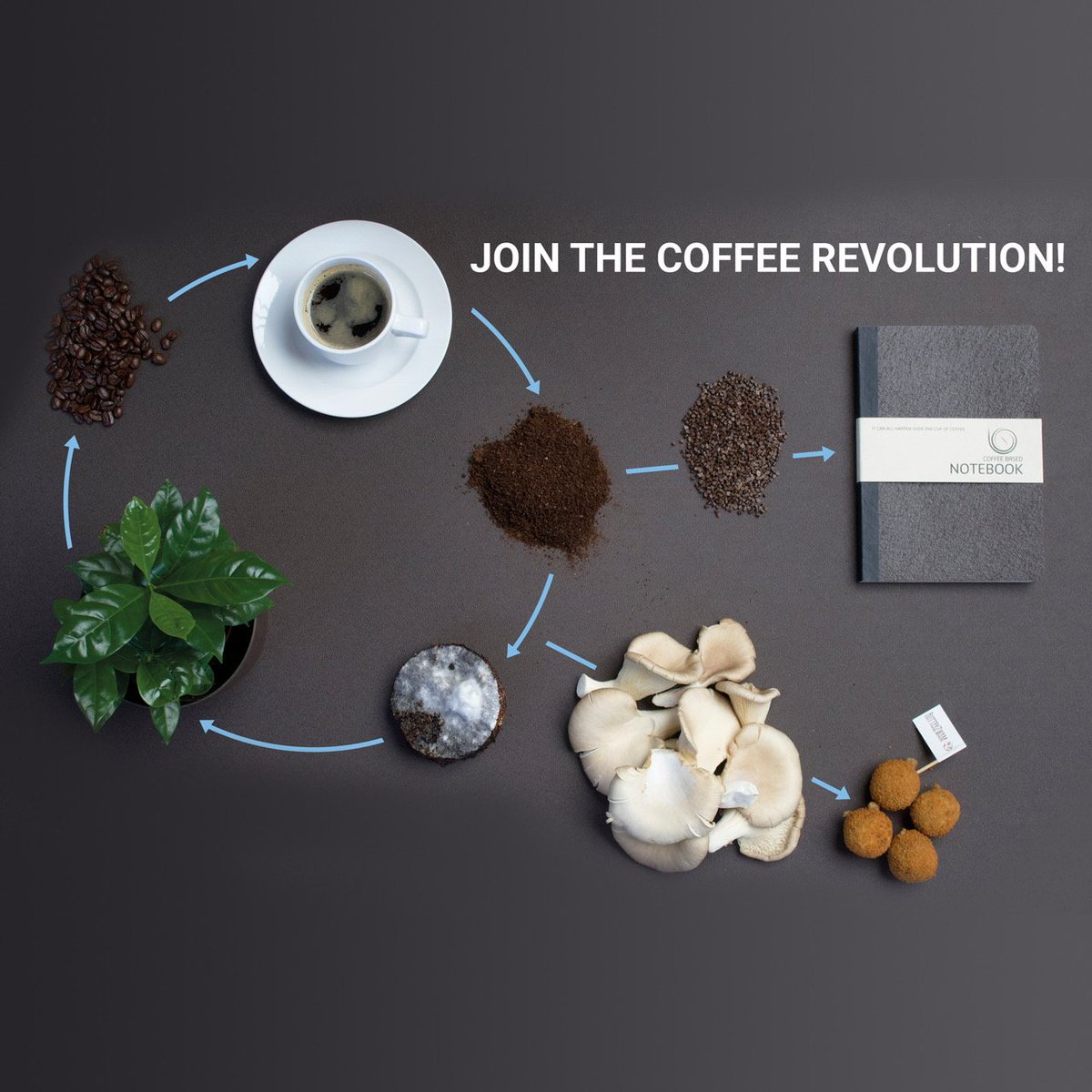 Onze circulaire vrienden <a href="/RotterZwam/">rotterzwam</a> lanceerden afgelopen week Coffee as a Service. Een concept waarbij ze koffiebonen leveren voor jouw heerlijke dagelijkse bak en vervolgens nemen ze het koffiedik weer in. Wordt jij aandeelhouder van
dit briljante idee? ow.ly/8pqV30l2xnO