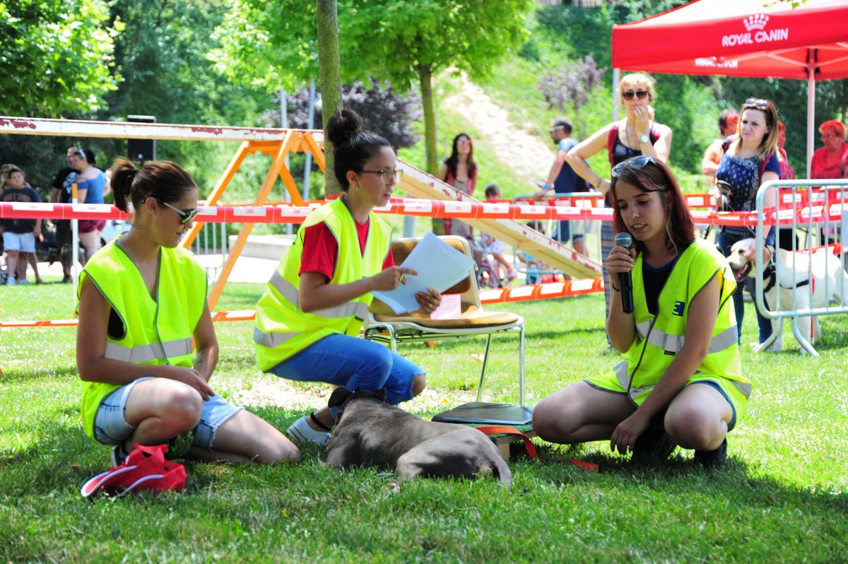 iwantapet_app's tweet photo. 📷 Ya tenemos las fotos de la #FestadelsAnimals de #Terrassa organizada por el #CAAD del @ajterrassa Donde pudimos explicar en persona las funcionalidades de nuestra plataforma online 💻 de #adopción y #servicios para #mascotas @iwantapet_app https://t.co/yPScE5bSvs