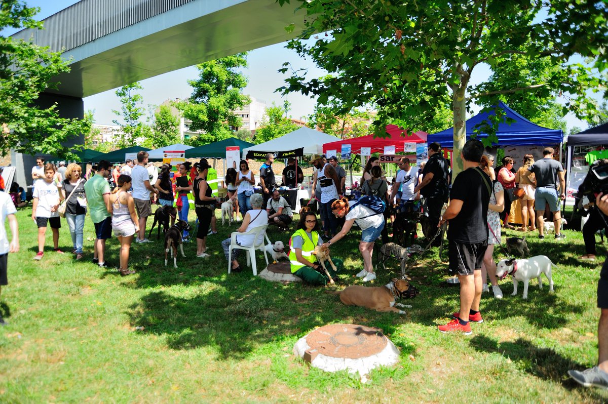 iwantapet_app's tweet photo. 📷 Ya tenemos las fotos de la #FestadelsAnimals de #Terrassa organizada por el #CAAD del @ajterrassa Donde pudimos explicar en persona las funcionalidades de nuestra plataforma online 💻 de #adopción y #servicios para #mascotas @iwantapet_app https://t.co/yPScE5bSvs