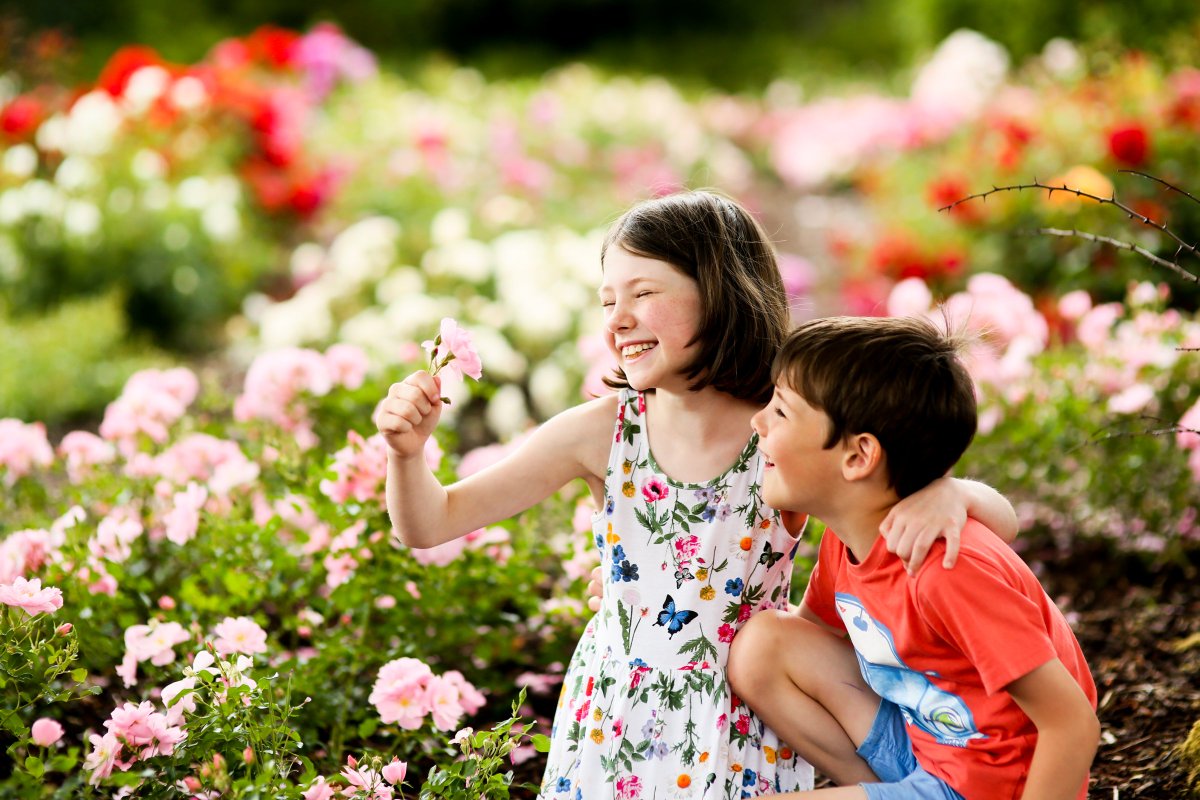 belfastcc's tweet photo. Good luck to everyone taking part in our #RoseWeek18 judging today! If you haven't stopped by to smell the roses yet, the fun continues at Lady Dixon Park until Sunday - https://t.co/29cAHbGsn3 https://t.co/u593TYzJWT
