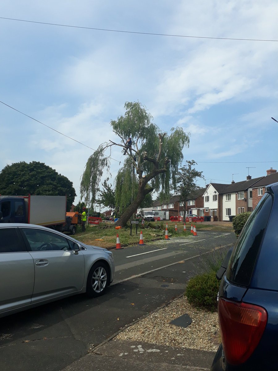 Becci_Picketts's tweet photo. Hugely disappointed to see this happening today @BromsgroveDC Whos decision was this? 
I feel youve broken the hearts of all the residents 💔 
#treewasntdead #wrongdecision #sadday #differentview #WorcestershireHour #Bromsgrove #bromsgrovecouncil https://t.co/KRehuNsGzl